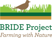 The Bride Project Logo