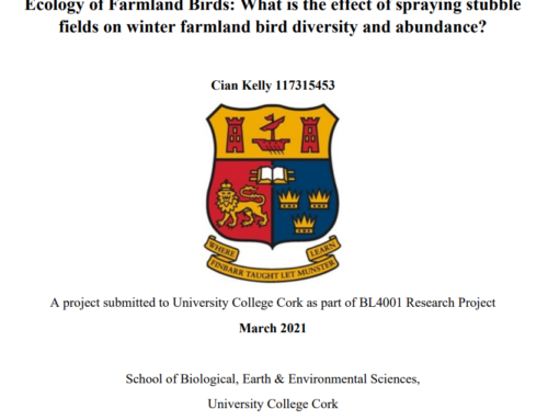 Benefits of Winter Stubble for Farmland Birds